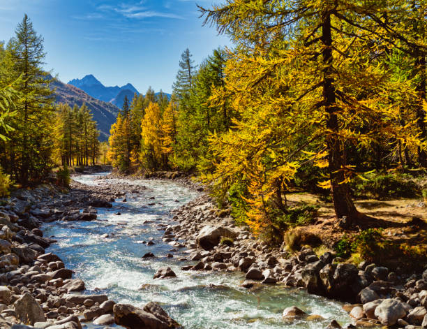 The river in Ferret Valley during the autumn season with the Mont Blanc wall in the background and clouds in the sky