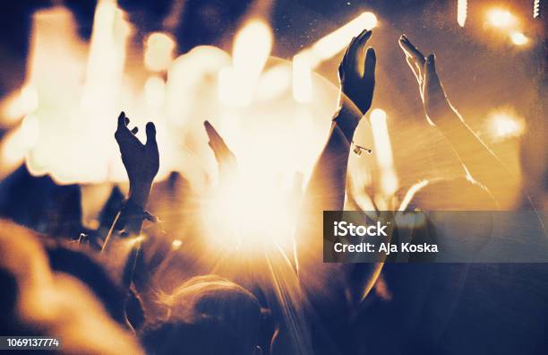 Cheering Fans At Concert Stock Photo - Download Image Now - Party - Social Event, Music, People