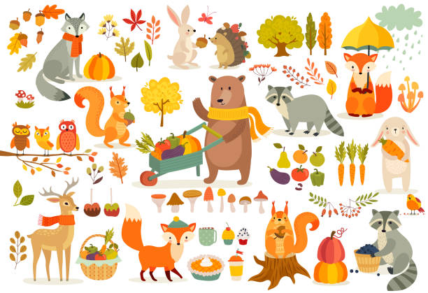 ilustraciones, imágenes clip art, dibujos animados e iconos de stock de sistema del tema otoño, bosque animales estilo dibujado a mano. - día de acción de gracias ilustraciones