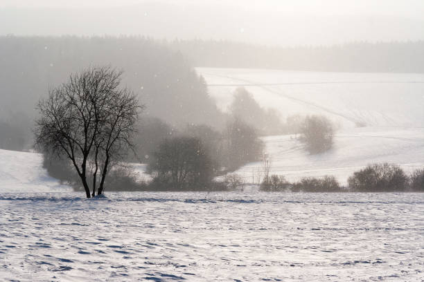 istock Falling snow in the winter landscape 1069141608