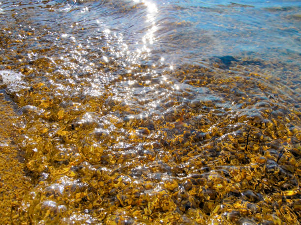 istock Transparent water and pebbles beach - close-up. 1069142326