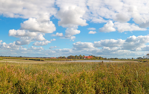 Panoramic view of wide and flat lakeland landscape with reed fields in East Frisian North Sea region Germany