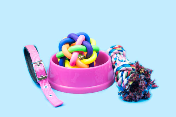 istock Pet accessories concept.  Pet bowl, Rope, rubber ball and collars on light blue background. 1069144014
