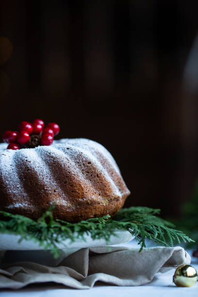 istock Close up Christmas cake decorated with icing, cranberries and Christmas tree on white plate and dark background. 1069146212