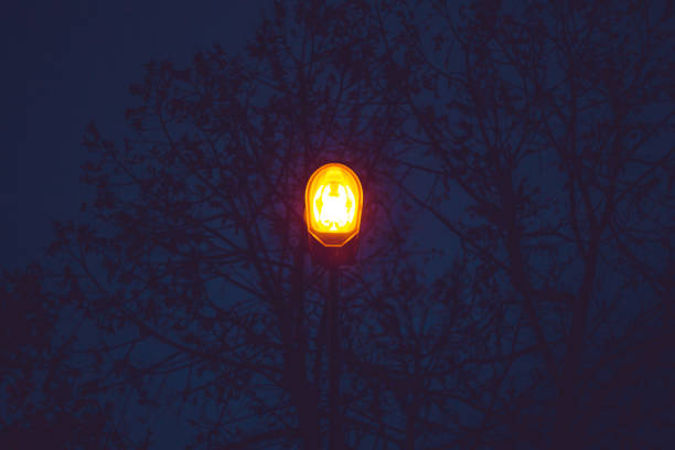 Low angle closeup of a alight lamppost on a city alley with trees in background