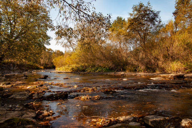 istock Above a mountain river on an autumn morning. 1069151368