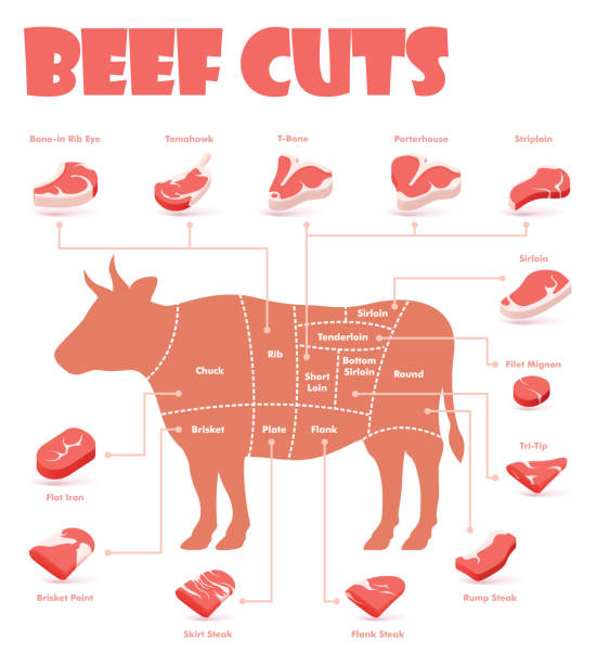illustrazioni stock, clip art, cartoni animati e icone di tendenza di grafico dei tagli di manzo vettoriale - steak meat raw beef