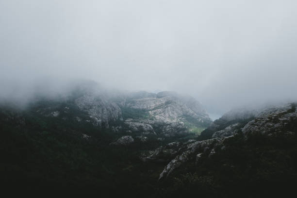 View of foggy fjord and forest on the way to Preikestolen cliff in South Norway