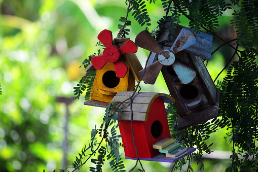 colorful wooden bird house among green bokeh background.