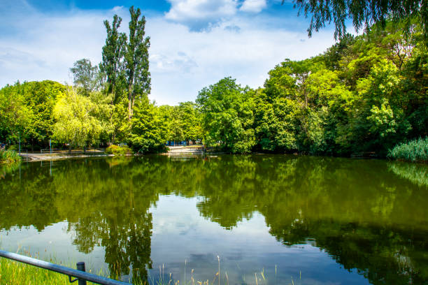 istock pond surrounded by trees in various shades of green 1069160510