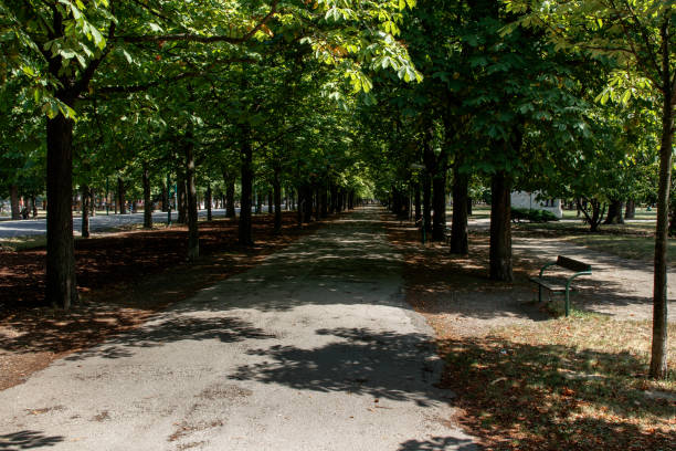 istock alley way on a sunny day 1069164044