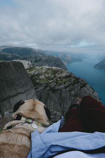 Woman and pug enjoying a view of Lysefjord from the edge of the cliff in South Norway