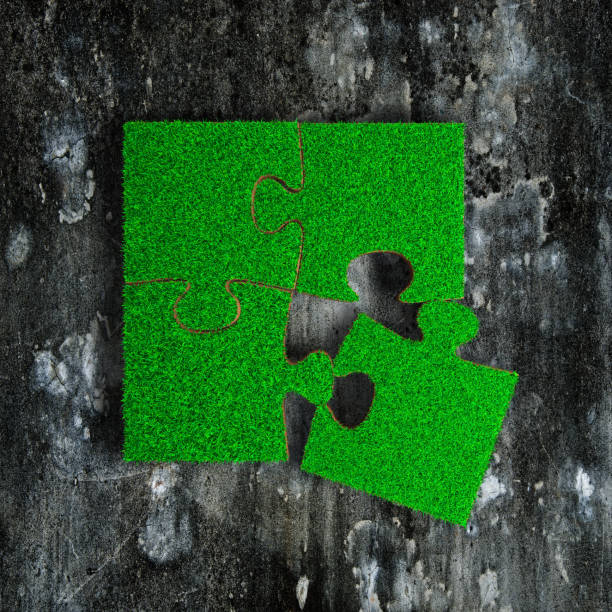 istock Four jigsaw puzzles with green grass on concrete floor 1069169924