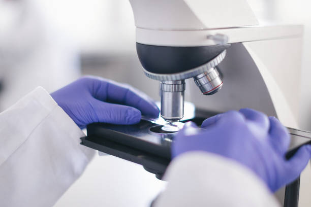 istock Senior female scientist working in laboratory 1069170478
