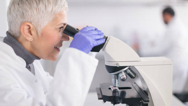 istock Senior female scientist working in laboratory 1069171264