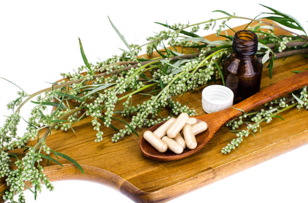 istock Natural herbal capsules from medicinal plants 1069172390
