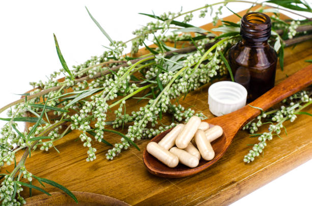 istock Natural herbal capsules from medicinal plants 1069172396