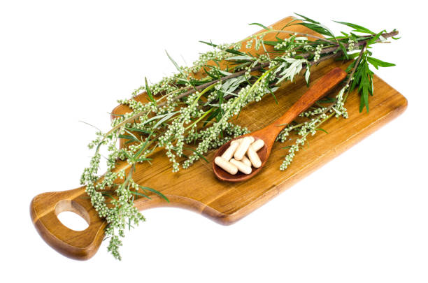 istock Natural herbal capsules from medicinal plants 1069172400