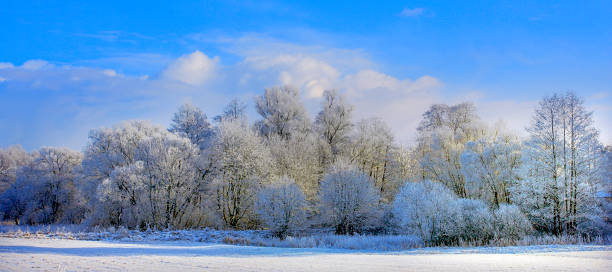 istock Winter landscape in Masuria lakes district in Poland 1069173246
