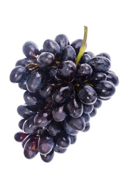 istock Branch of black ripe grapes on white background 1069175322