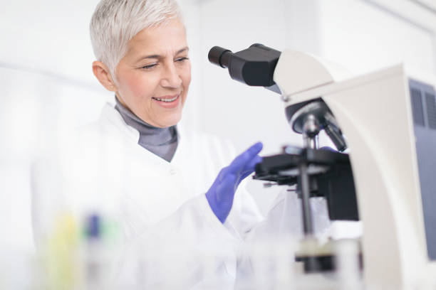 istock Senior female scientist working in laboratory 1069175416