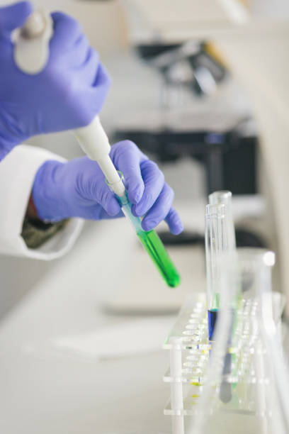 istock Senior female scientist working in laboratory 1069176146