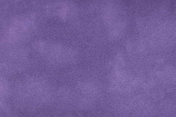 istock Dark violet matte background of suede fabric, close-up. 1069177566
