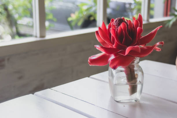 istock Red torch ginger flower in bottle glass decorated on wood table 1069177598