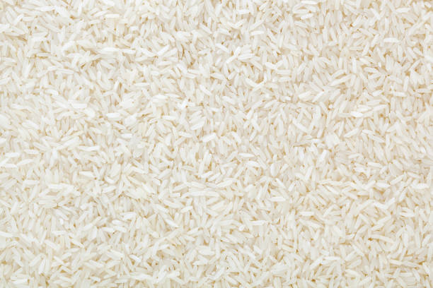 พื้นหลังข้าวเมล็ดยาวสีขาวที่ยังไม่สุก - rice ภาพสต็อก ภาพถ่ายและรูปภาพปลอดค่าลิขสิทธิ์