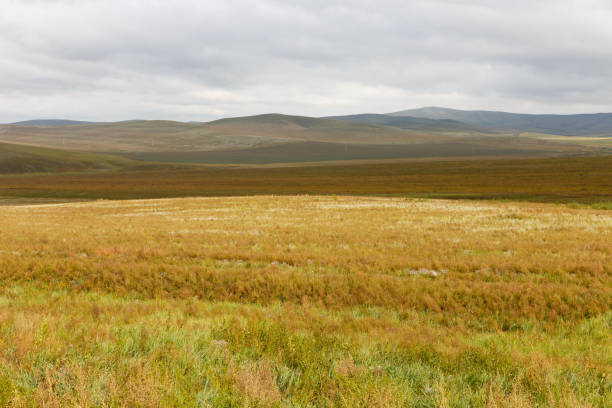 istock Mongolian steppe, beautiful landscape with cloudy sky 1069193360