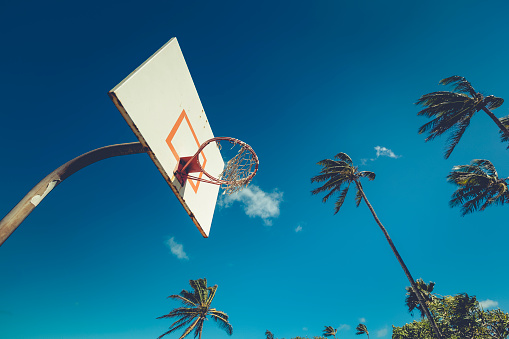 basketball court under palm trees on maui island, hawaii islands, usa.