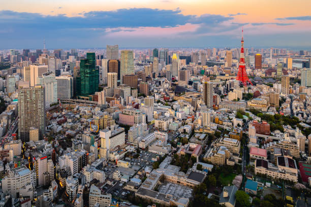 istock Tokyo tower and Tokyo city view visible on the horizon. 1069200220