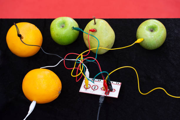 istock Cables connected to a device and to apples, oranges and pears 1069209530