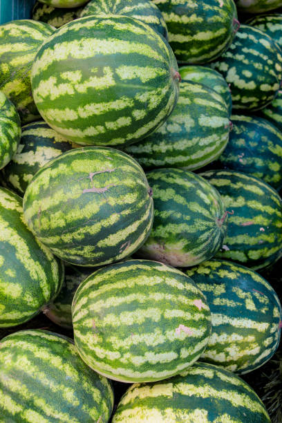 istock Watermelons in a Turkish street bazaar in display 1069210398