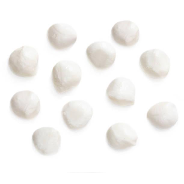 istock Traditional Italian Mozzarella cheese isolated on white background.  Top view 1069219418