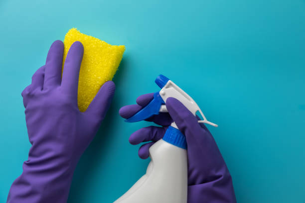 istock Female hands cleaning on blue background. Cleaning concept background. Flat lay, Top view. 1069220756