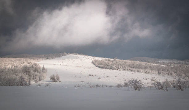 istock Winter landscapes of the Carpathians 1069221340