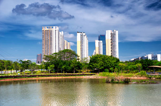 istock Futian Mangrove Ecological Park Shenzhen China 1069224508