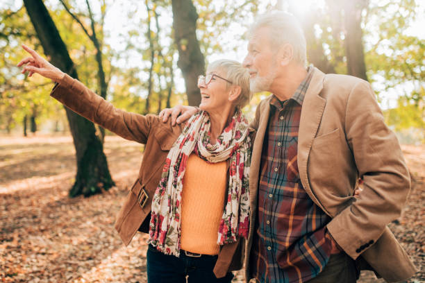 istock Senior couple looking at distance 1069228372