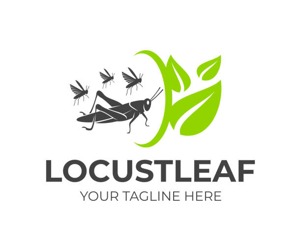 ilustrações de stock, clip art, desenhos animados e ícones de locust and flock of grasshoppers with leaves and rotation, icon design. agriculture and agricultural, farm and farming, food and plant, animal and insect, vector design and illustration - locust swarm of insects insect group of animals