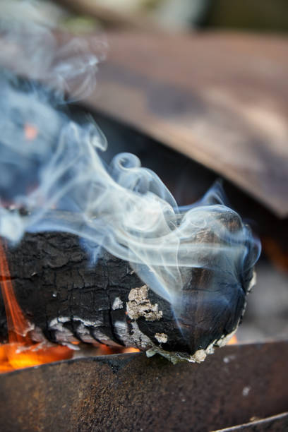 istock Burning logs in the grill, smoking log 1069235684