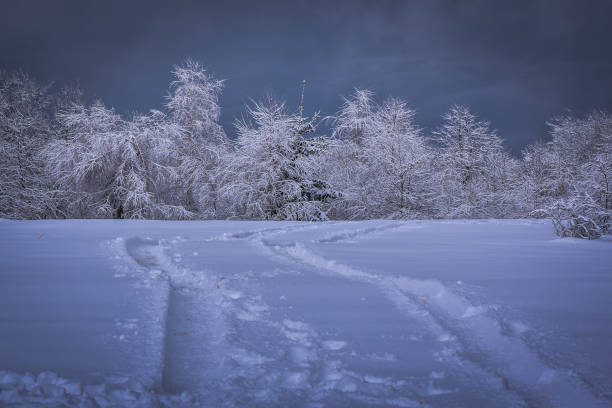 istock Winter landscapes of the Carpathians 1069241068