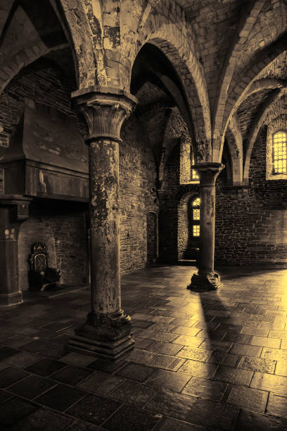 오래 된 역사적인 건물의 인테리어 - castle indoors domestic room spooky 뉴스 사진 이미지