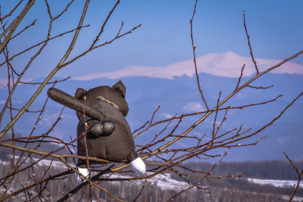 Winter landscapes of the Carpathians