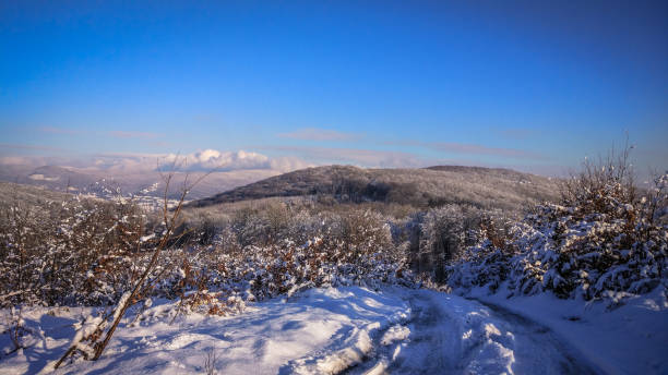 istock Winter landscapes of the Carpathians 1069246508