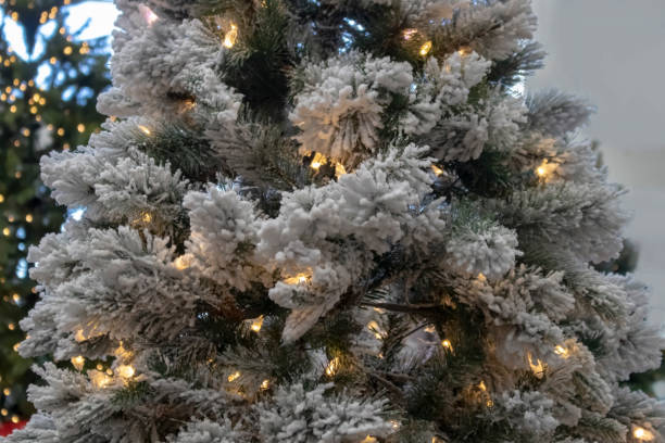 fondo de navidad de árbol flocado con luces blancas con árbol de bokeh verde oscuro en el fondo - flocked fotografías e imágenes de stock