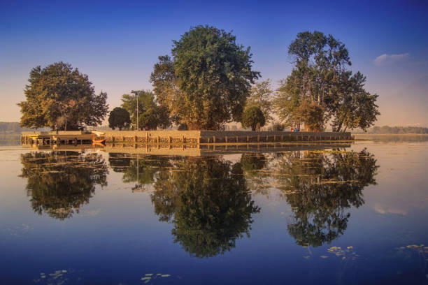 Willow tree on the Trent and Mersey Canal in Shardlow, reflecting on the canal water