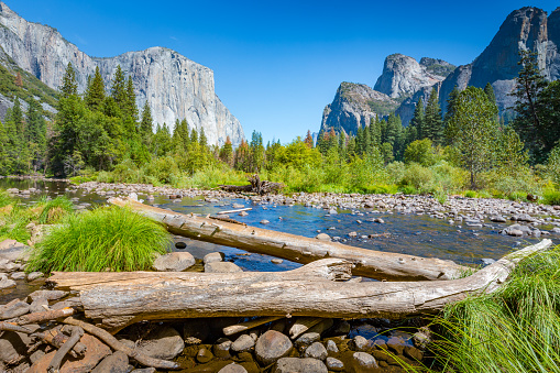 Springtime view of Yosemite's Half Dome, with grassy Ahwahnee Meadow and trees in foreground.\n\nTaken in Yosemite National Park, California, USA