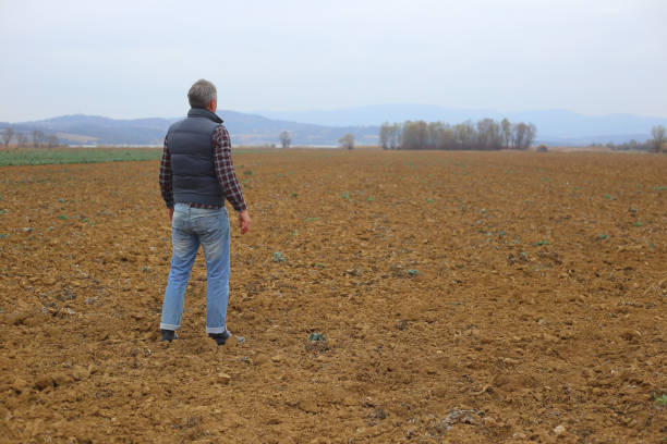 istock Handsome adult farmer standing at his large plowed field 1069259564