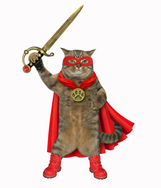 Foto de Gato É Um Super Herói e mais fotos de stock de Gato